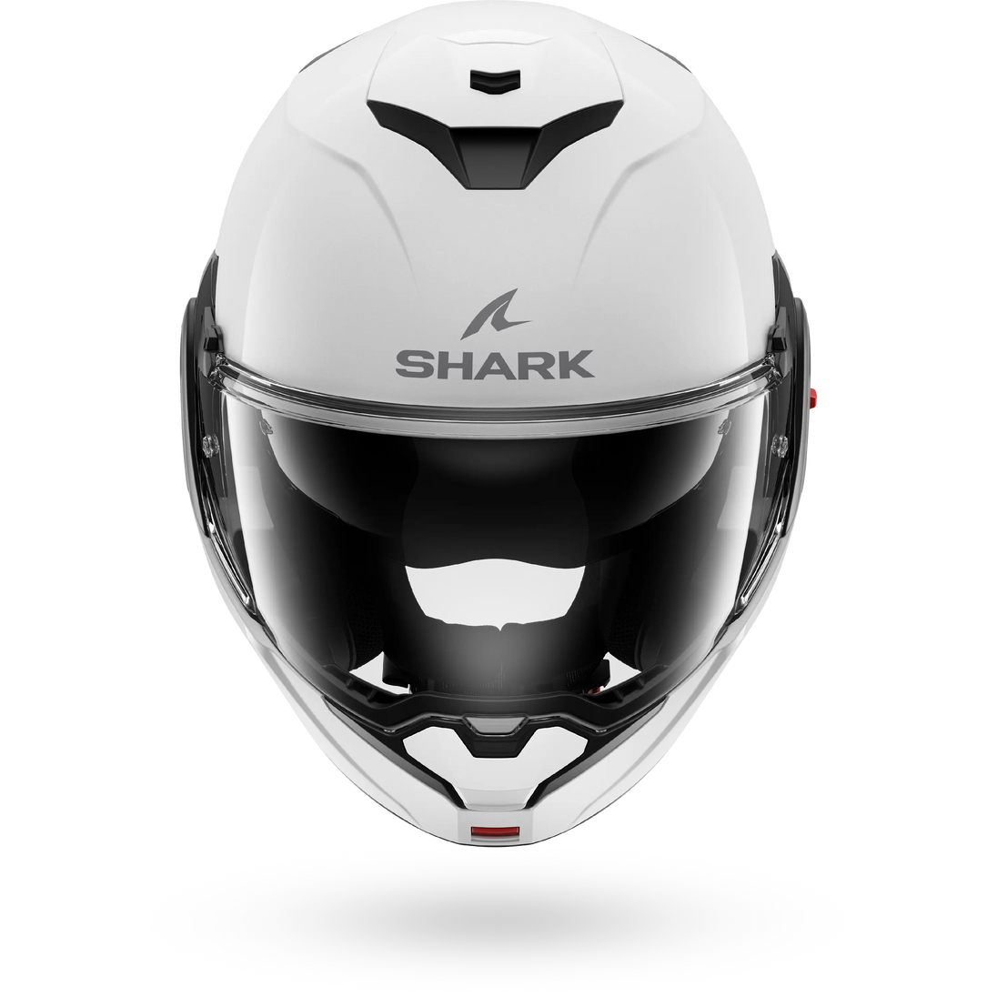 Shark OXO Blank Pearly White